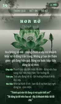 HOA NỞ